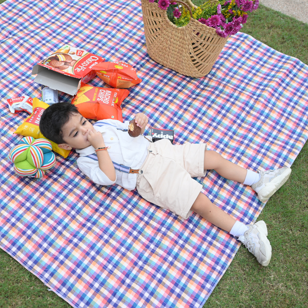 Check Print Picnic Mat