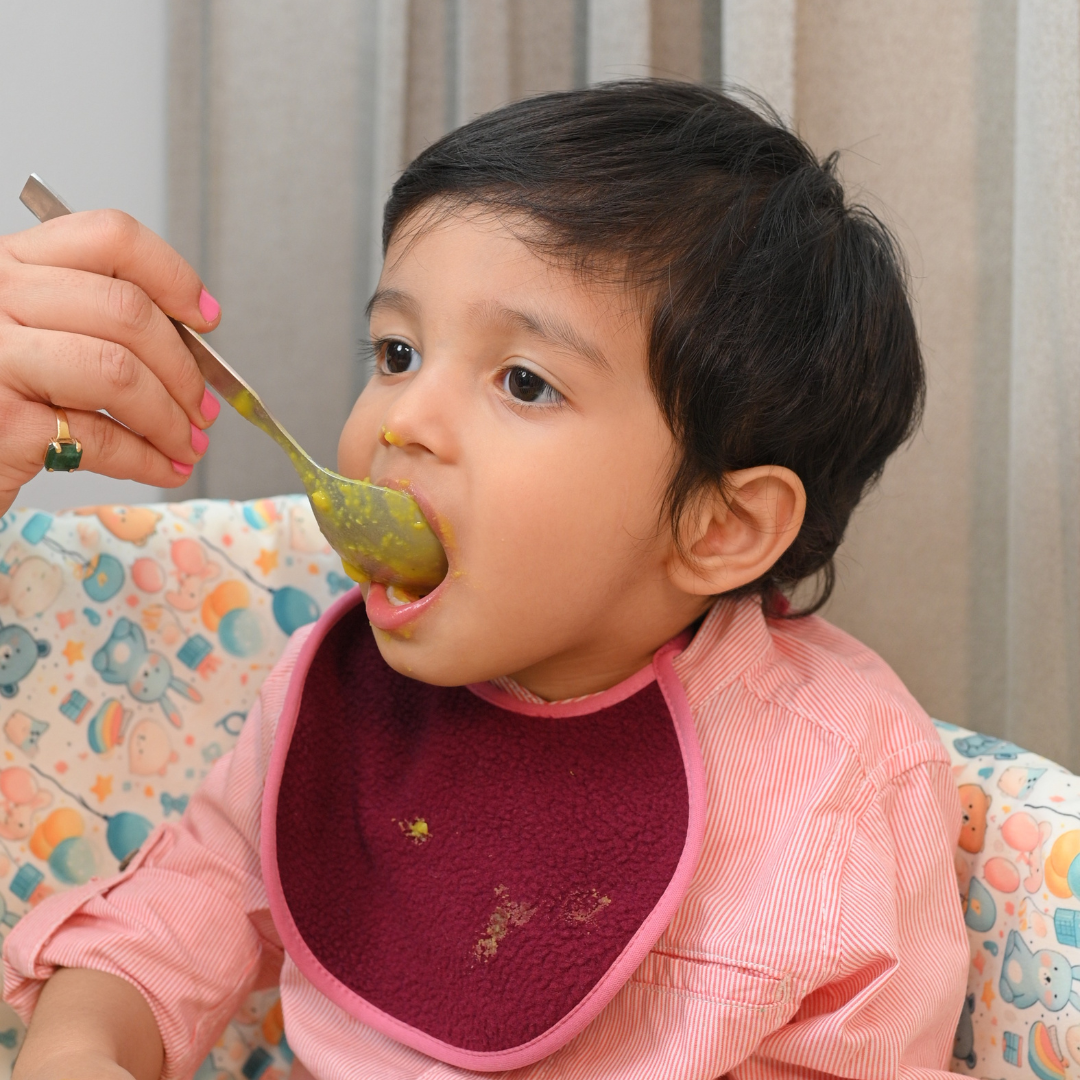 Rust + Yellow + Maroon - Absorbent Bibs (Pack of 3)