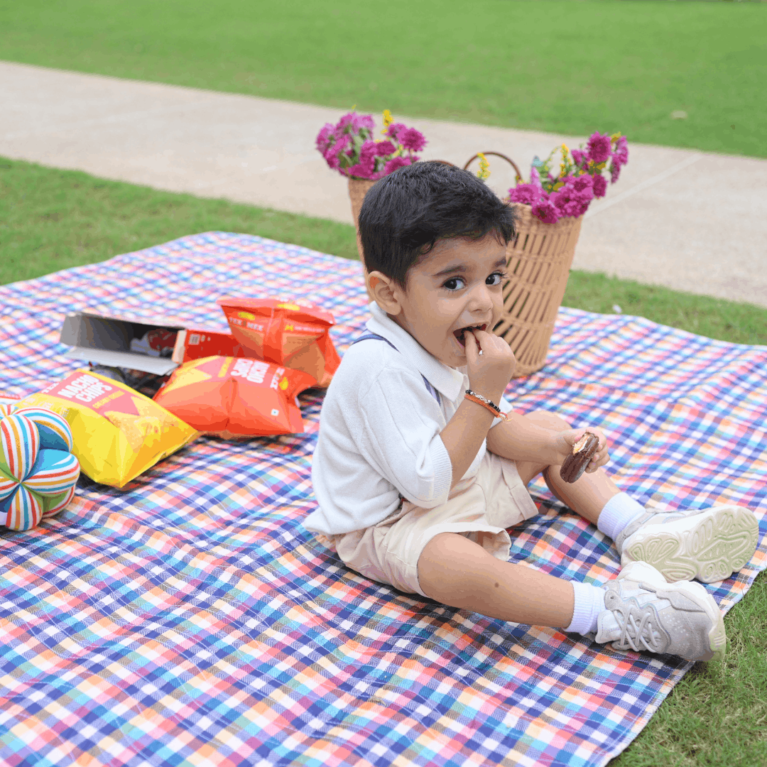 Check Print Picnic Mat