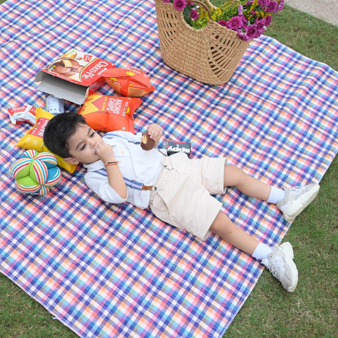 Checked Print Picnic Mats