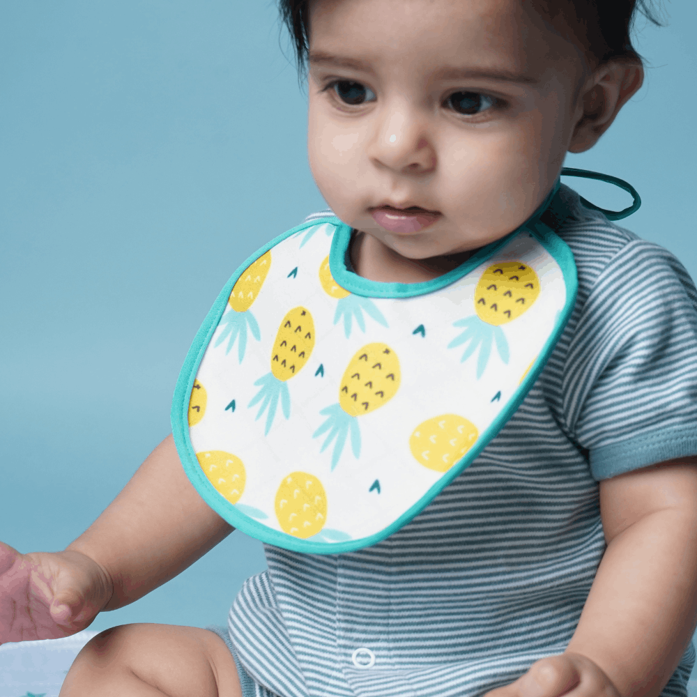 Jungle Print, Nautical Print & Pineapple Prints Bibs Sheet  Medium (Pack of 3)