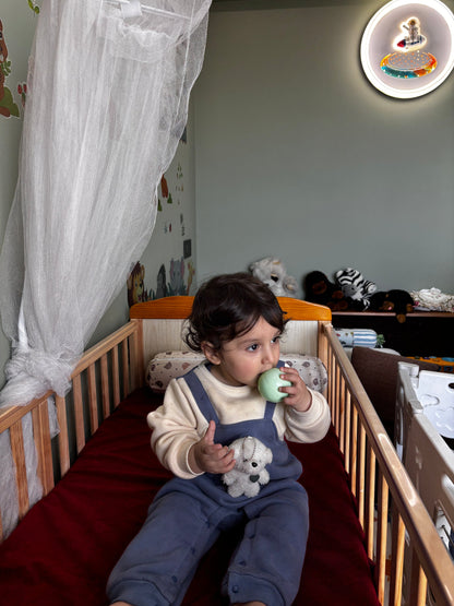 Waterproof Maroon Crib Mattress Protector Sheet