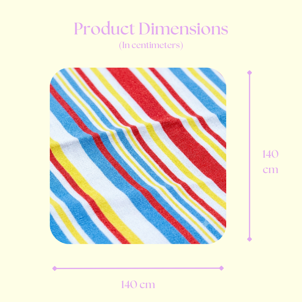 Striped Print Picnic Mat