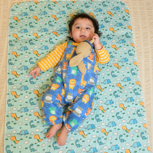 Dinosaur Print Premium Matty