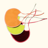 Peach + Yellow + Maroon - Absorbent Bibs (Pack of 3) | Medium