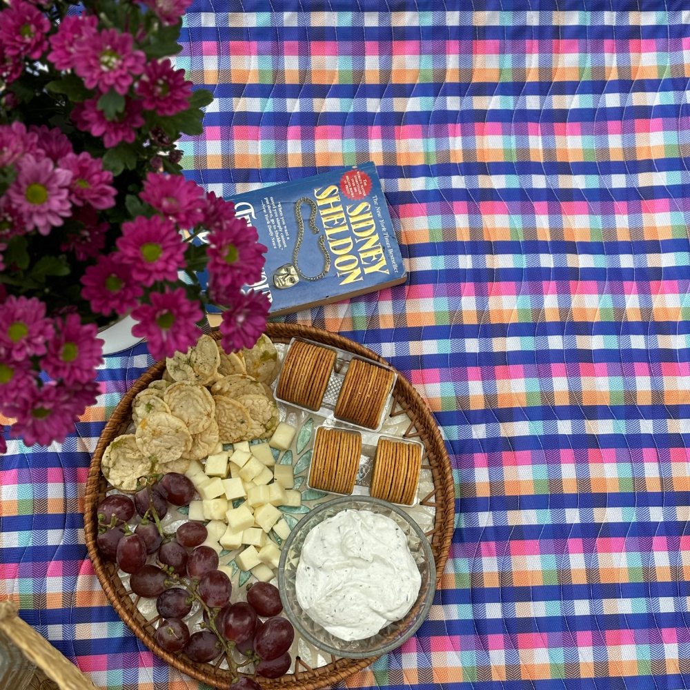Check Print Picnic Mat